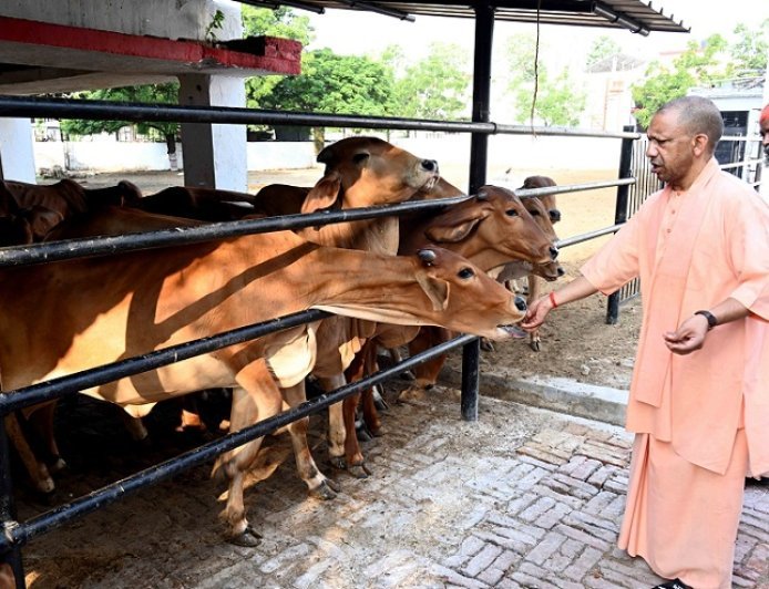 Gorakhpur: गोशाला पहुंचे सीएम योगी, गोवंश को खिलाया गुड़, कहा- गर्मी में गोवंश की सेवा और सुरक्षा में न हो कोई लापरवाही। 