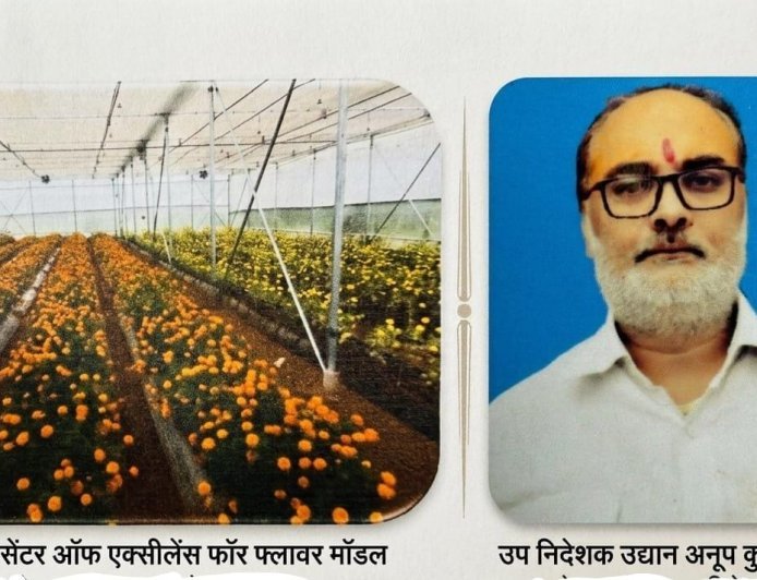 Ayodhya : अयोध्या में बनेगा प्रदेश का पहला 'सेंटर ऑफ एक्सीलेंस फॉर फ्लावर', दो करोड़ की लागत से फूलों की खेती का हब बनेगा पिरखौली क्षेत्र