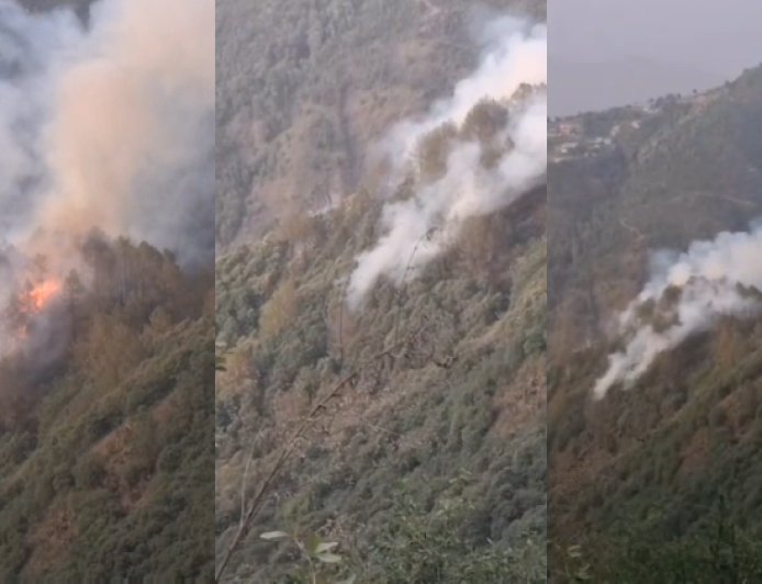Mussoorie : मसूरी के कैमल्स बैक रोड के जंगलों में लगी भीषण आग, वन विभाग ने संभाला मोर्चा