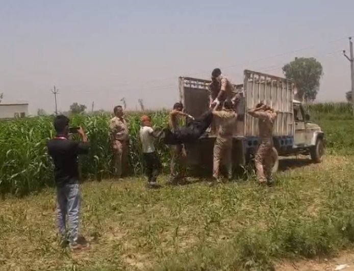 Sambhal: चरी के खेत में नग्न हालत में मिला युवक का जला शव, शनिवार से लापता था फुरकान। 