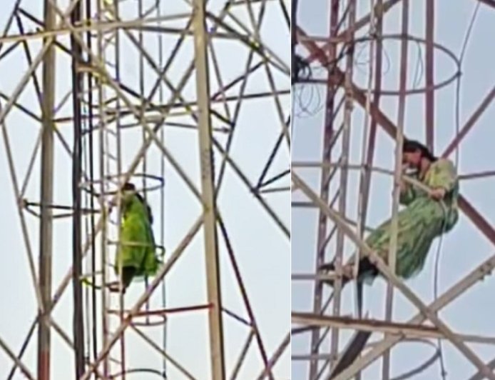 प्रेमी से शादी की जिद पर अड़ी युवती हाई-वोल्टेज ड्रामे के बाद मोबाइल टावर से उतरी, राजगढ़ में मंचा हड़कंप।