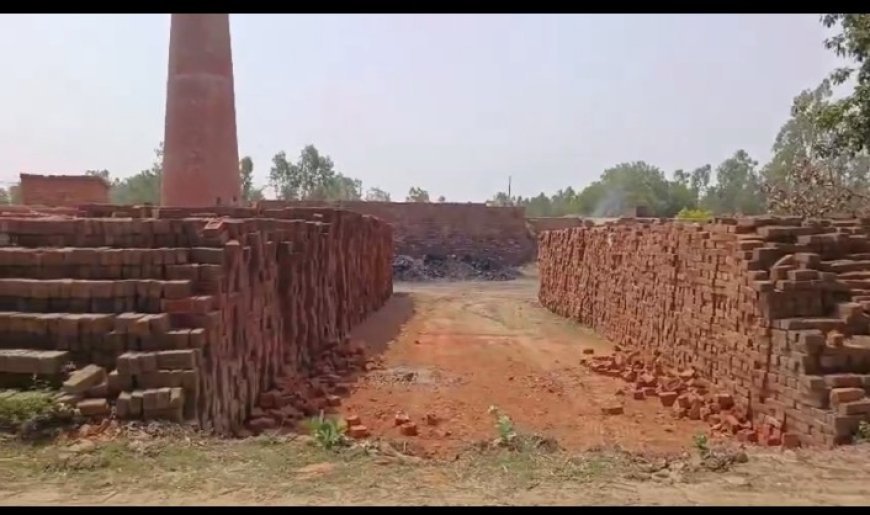 Hardoi : हरदोई में ईंट भट्टे के गहरे गड्ढे में डूबने से सगे भाई-बहन की मौत
