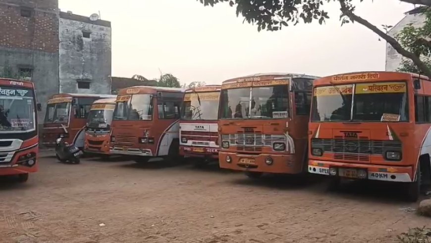 Sambhal : बस में अब सफर होगा और सुरक्षित - यात्रियों के लिए सीट बेल्ट अनिवार्य करने के फैसले का चालक और परिचालक ने किया स्वागत