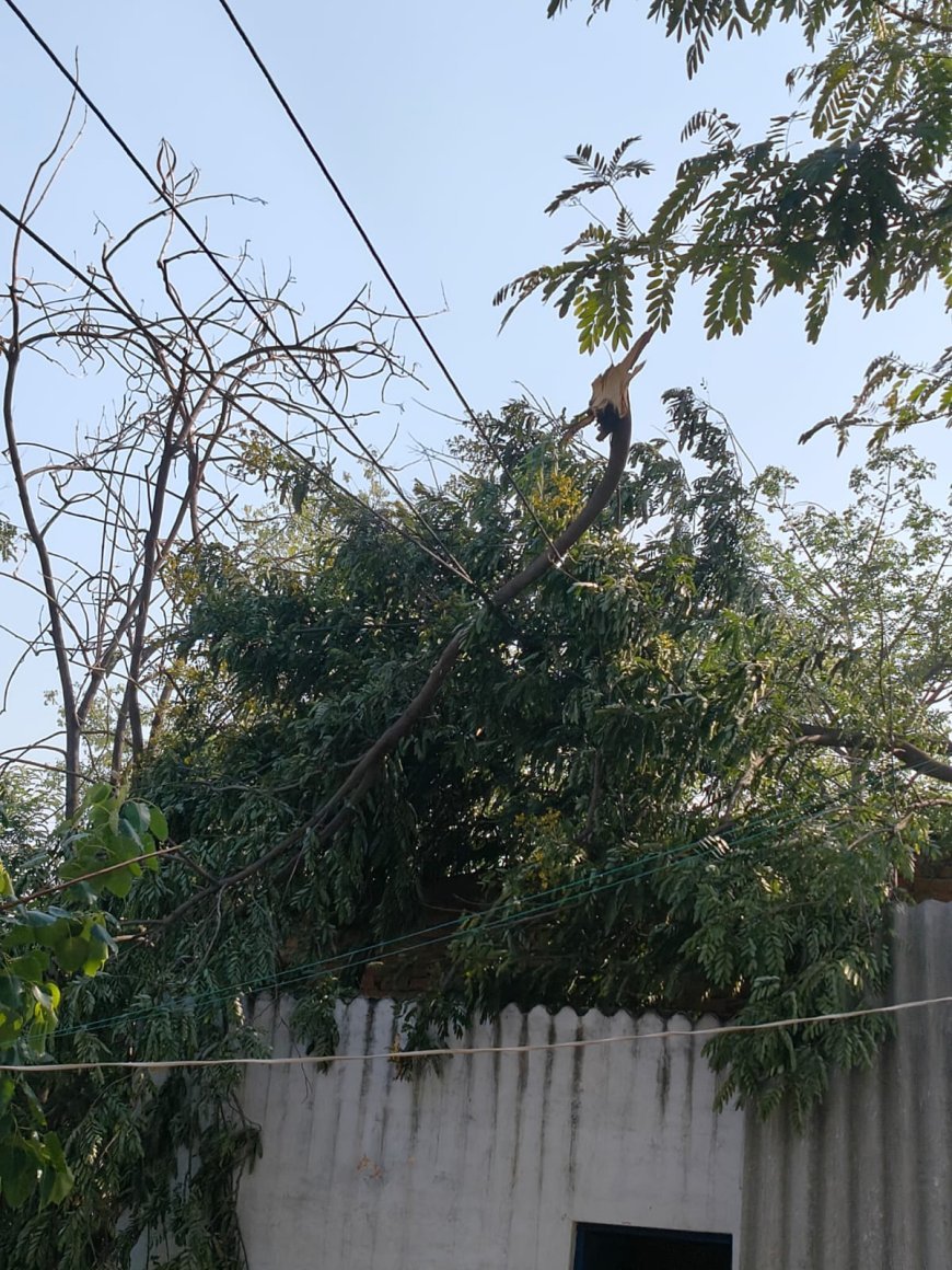 Sitapur : सीतापुर के खैराबाद में बिजली की भारी किल्लत, टूटे पोल और तारों ने बढ़ाई मुसीबत