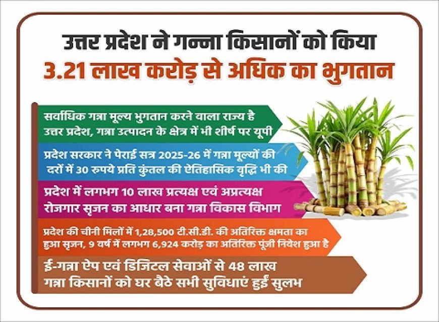 Lucknow: गन्ना किसानों के लिए योगी सरकार का बड़ा रिकॉर्ड: ₹3.21 लाख करोड़ भुगतान, 30 रुपये प्रति कुंतल बढ़े दाम। 