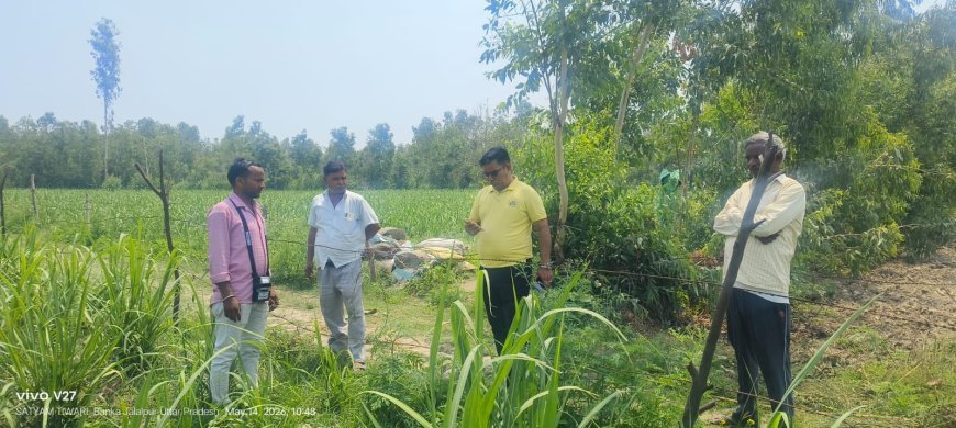 Sitapur : गन्ना सर्वे का औचक निरीक्षण, किसानों को बताए गए फसल बचाने के तरीके