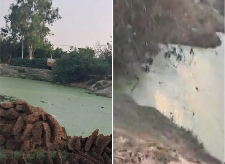 Hardoi: तालाब पर अवैध कब्जाः मुख्यमंत्री से शिकायत, तहसीलदार ने कार्रवाई का दिया आश्वासन।  