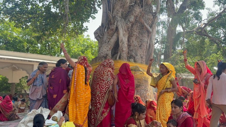 Hardoi: वट सावित्री व्रत पर आस्था का सैलाब, सुहागिनों ने बरगद की पूजा कर मांगा अखंड सौभाग्य। 