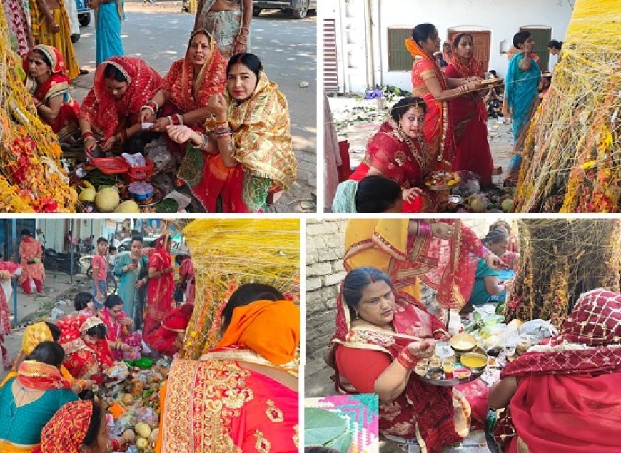 Hardoi: पति की लंबी उम्र के लिए सुहागिनों ने रखा वट सावित्री व्रत, हरदोई में दिखी आस्था की अनोखी तस्वीर। 