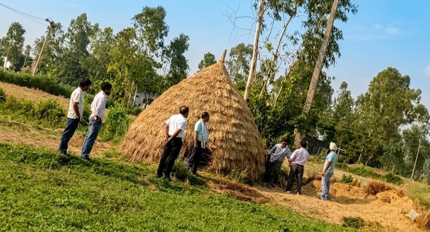 Bajpur: दबंगों ने कहा तुम्हें मार कर इस भूमि में दफना देंगे ,बहादुरगंज में विवादित भूमि की जांच करने पहुंची चकबंदी टीम। 