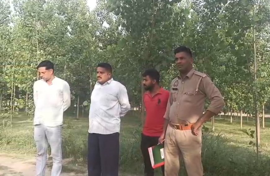 Saharanpur : गागलहेड़ी में चोरों के हौसले बुलंद, किसानों के खेतों से काटे 11 पॉपुलर के पेड़