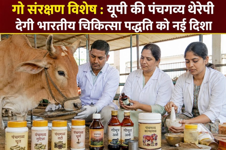 गो संरक्षण विशेष : यूपी की पंचगव्य थेरेपी देगी भारतीय चिकित्सा पद्धति को नई दिशा।