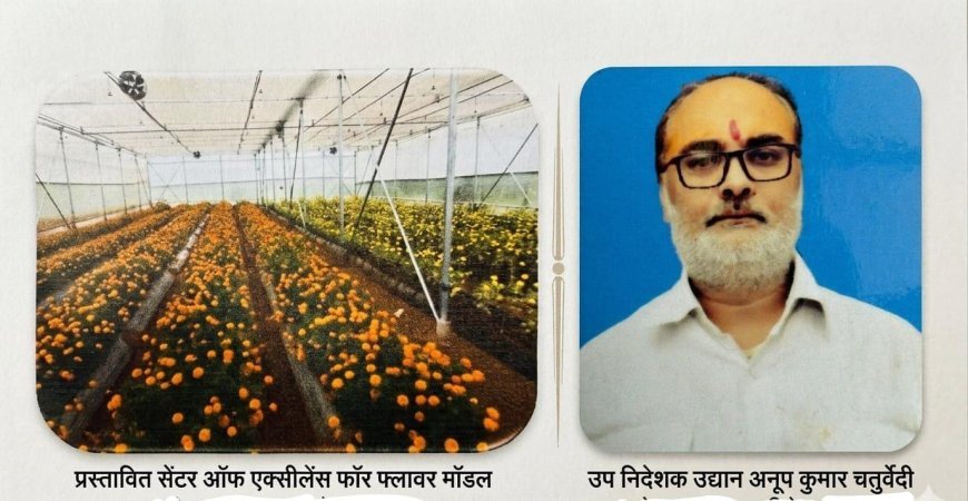Ayodhya : अयोध्या में बनेगा प्रदेश का पहला 'सेंटर ऑफ एक्सीलेंस फॉर फ्लावर', दो करोड़ की लागत से फूलों की खेती का हब बनेगा पिरखौली क्षेत्र