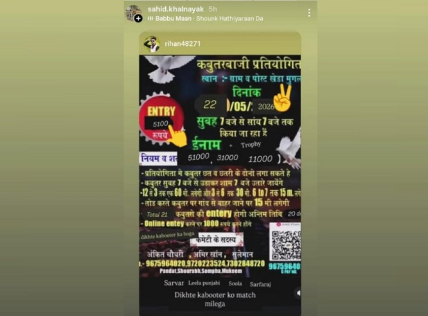 Deoband: कबूतर बाजी की आड़ में सट्टे का काला खेलबेजुबान पक्षियों पर हो रहा क्रूर अत्याचार। 