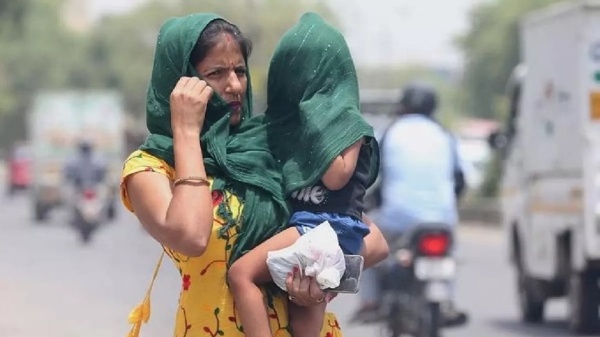 Pratapgarh : भीषण गर्मी और लू को देखते हुए जनगणना का काम रोकने की मांग, शिक्षक संगठन ने मुख्यमंत्री को भेजा पत्र