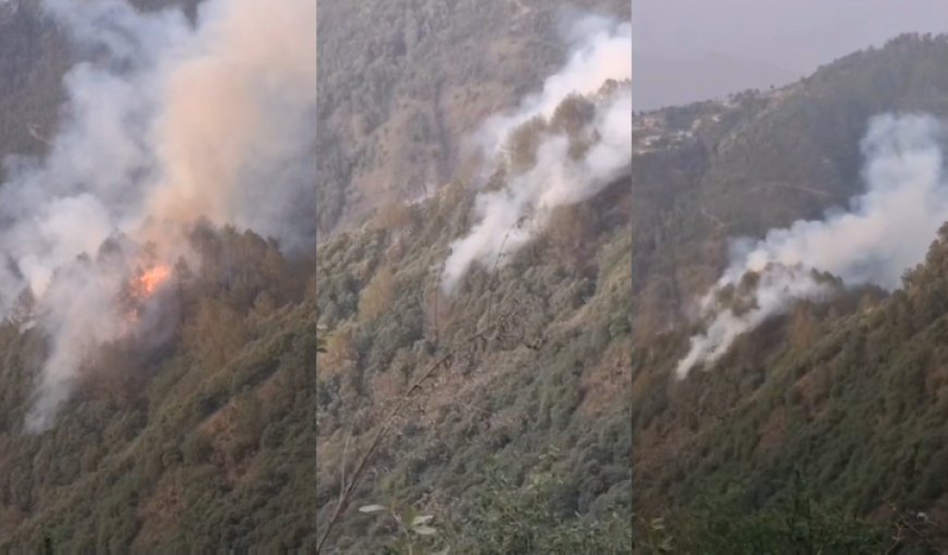 Mussoorie : मसूरी के कैमल्स बैक रोड के जंगलों में लगी भीषण आग, वन विभाग ने संभाला मोर्चा