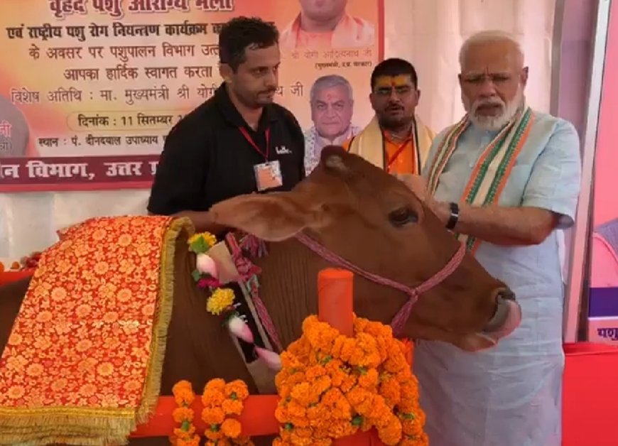 Lucknow : गो संरक्षण विशेष : यूके, यूएसए, ऑस्ट्रेलिया समेत 10 से अधिक देशों में बजा यूपी का डंका