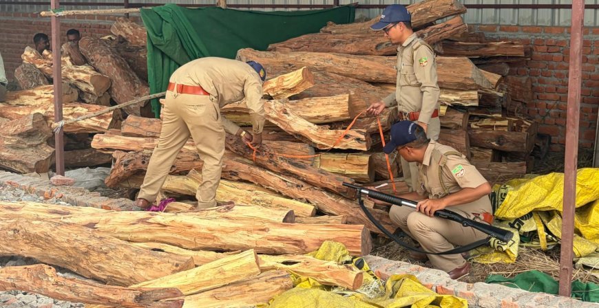 Bajpur : गोदाम में छापा मारकर वन विभाग ने बरामद की सौ कुंतल अवैध खैर की लकड़ी, वाहन सहित माल जब्त