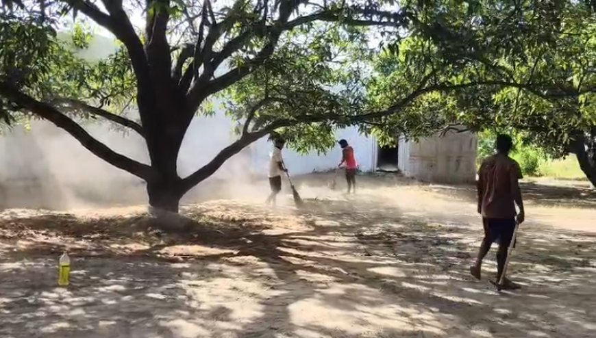 Sambhal: ईदुल अज़हा पर सम्भल नगर पालिका अलर्ट: 37 वार्डों में सफाई अभियान, मेन रोड्स पर पेट्रोलिंग और डंपिंग ग्राउंड तैयार। 