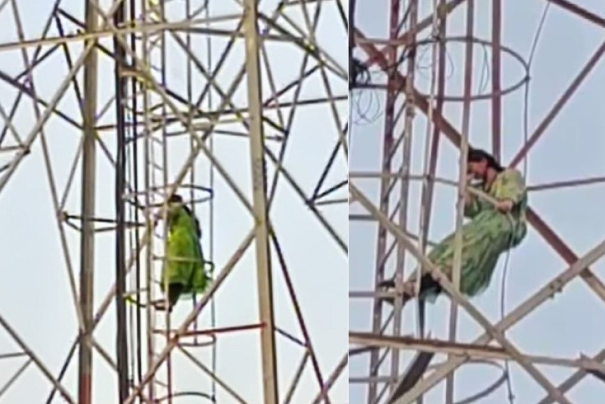 प्रेमी से शादी की जिद पर अड़ी युवती हाई-वोल्टेज ड्रामे के बाद मोबाइल टावर से उतरी, राजगढ़ में मंचा हड़कंप।