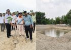 Hardoi: तालाबों के पुनर्जीवन से संवर रहा पर्यावरण, विश्व पर्यावरण दिवस पर हुआ पौधरोपण