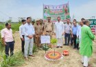 Hardoi: विश्व पर्यावरण दिवस पर विधायक माधवेन्द्र प्रताप सिंह ने किया वृक्षारोपण, दिया पर्यावरण संरक्षण का संदेश