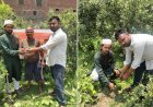 Hardoi: दिव्यांग युवा शक्ति संगठन के 6वें स्थापना दिवस पर देशभर में हुआ वृक्षारोपण, कुशवाहा डीके आजाद के नेतृत्व में चला अभियान