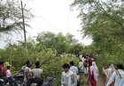 Hardoi : आंधी और तूफान से संडीला में जनजीवन बेपटरी, पेड़ गिरने से रास्ते बंद और बिजली गुल