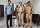 Sambhal : मासूम से दरिंदगी का आरोपी ‘मैरी’ ने पकड़वाया, सूंघकर पहुंची दरिंदे के घर; SP ने दिया 10 हजार का इनाम