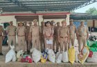 Ballia : 'ऑपरेशन दहन' के तहत बड़ी कार्रवाई, 11 थानों के 74 लाख रुपये मूल्य के मादक पदार्थ नष्ट