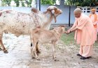 Gorakhpur : गोरखनाथ मंदिर में मुख्यमंत्री ने सुनीं फरियादियों की समस्याएं, अधिकारियों को दिए तुरंत मदद के निर्देश
