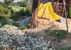 Sitapur : शराब ठेके के बाहर गंदगी से किसान परेशान, खेतों में फैल रहा प्लास्टिक कचरा फसलों को पहुंचा रहा नुकसान