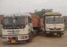 Hardoi : ओवरलोड बालू डंपरों पर बड़ी कार्रवाई, एसडीएम ने दो वाहन किए सीज और दो पर कानूनी एक्शन