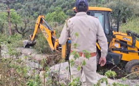Mussoorie: मसूरी वन विभाग का बुलडोजर एक्शन, नोटिफाइड क्षेत्र में ध्वस्त हुई प्लॉटिंग, पालिका के प्लिंथ प्रमाणपत्रों पर भी सवाल।