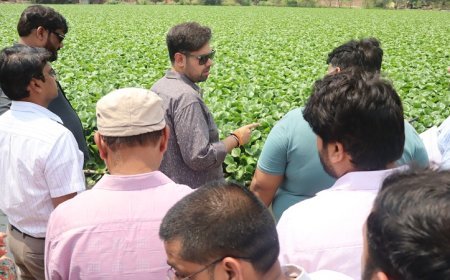 Hardoi: कछुआ तालाब के संरक्षण को लेकर सख्त हुए डीएम, सौंदर्यीकरण का डिजाइन जल्द तैयार करने के निर्देश। 