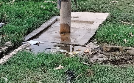 Sitapur : रखरखाव के अभाव में बदहाल हुआ सरकारी हैंडपंप, ग्रामीणों को सता रहा बीमारियों और कीड़े-मकोड़ों का डर