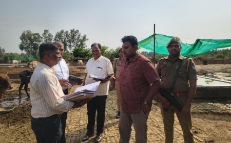 Sitapur : गौआश्रय स्थल में बदहाली देखकर बिफरे जिलाधिकारी, ग्राम विकास अधिकारी सस्पेंड और कई को नोटिस