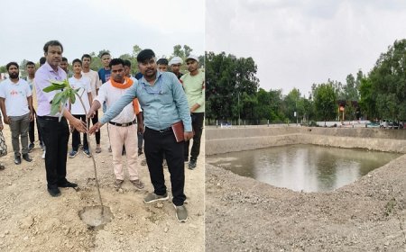 Hardoi: तालाबों के पुनर्जीवन से संवर रहा पर्यावरण, विश्व पर्यावरण दिवस पर हुआ पौधरोपण