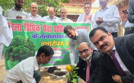Lucknow: विश्व पर्यावरण दिवस पर न्यायालय परिसर में वृहद वृक्षारोपण, पर्यावरण संरक्षण का दिया संदेश