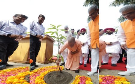 Lucknow: सीएम योगी ने अपने आवास पर लगाया ‘एक पेड़ मां के नाम’, आम का पौधा रोपकर मुख्यमंत्री ने सभी को दी विश्व पर्यावरण दिवस की शुभकामना