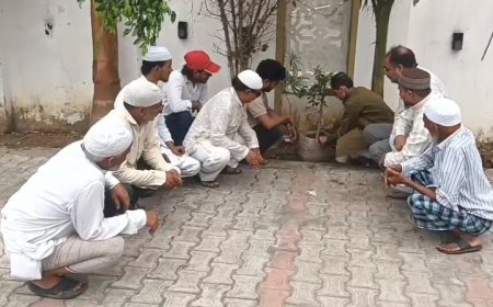 Sambhal: हर घर में था नीम-बकायन का पेड़, अब कंक्रीट के जंगल में घुट रही सांसें... सम्भल से उठी हरियाली बचाने की आवाज़