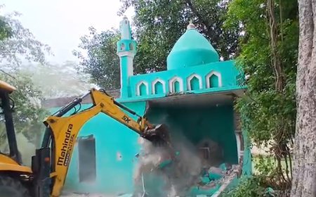 Sambhal: बुलडोजर के सामने बेबस मजार! 700 बीघा जमीन मुक्त कराने के अभियान में सम्भल प्रशासन की बड़ी कार्रवाई