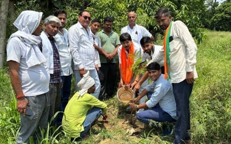 Hardoi: विश्व पर्यावरण दिवस पर अंतर्राष्ट्रीय पर्वतारोही अभिनीत मौर्य ने चलाया वृक्षारोपण अभियान