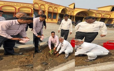 Hathras: विश्व पर्यावरण दिवस पर सीएमओ कार्यालय परिसर में हुआ पौधरोपण