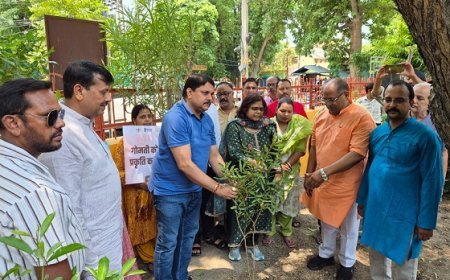 Lucknow: 12 साल विश्वास के, विकास के, जन-कल्याण के" अभियान का भव्य आगाज़, अपर श्रमायुक्त कार्यालय में वृक्षारोपण व कार्यशाला आयोजित