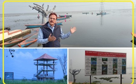 Ballia: बलिया का सुरहा ताल बना भारत का 100 वां रामसर स्थल, प्रधानमंत्री की घोषणा के बाद चमका अंतरराष्ट्रीय फलक पर
