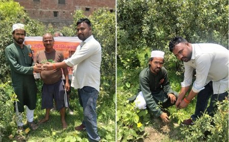 Hardoi: दिव्यांग युवा शक्ति संगठन के 6वें स्थापना दिवस पर देशभर में हुआ वृक्षारोपण, कुशवाहा डीके आजाद के नेतृत्व में चला अभियान