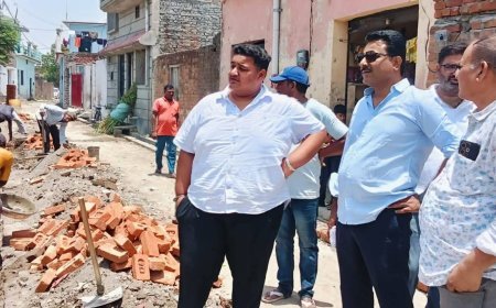 Bajpur : जिला पंचायत सदस्य ने निर्माणाधीन मुख्य सड़क का किया निरीक्षण, गुणवत्ता बनाए रखने के निर्देश