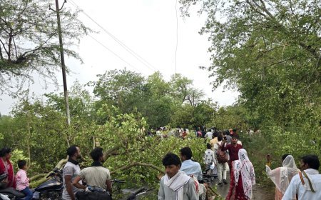 Hardoi : आंधी और तूफान से संडीला में जनजीवन बेपटरी, पेड़ गिरने से रास्ते बंद और बिजली गुल