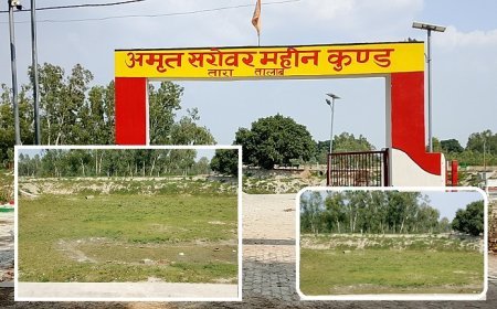 Hardoi: लाखों की लागत से बना अमृत सरोवर सूखा, प्यासे पशु-पक्षी; महीन कुण्ड में योजना पर उठे सवाल